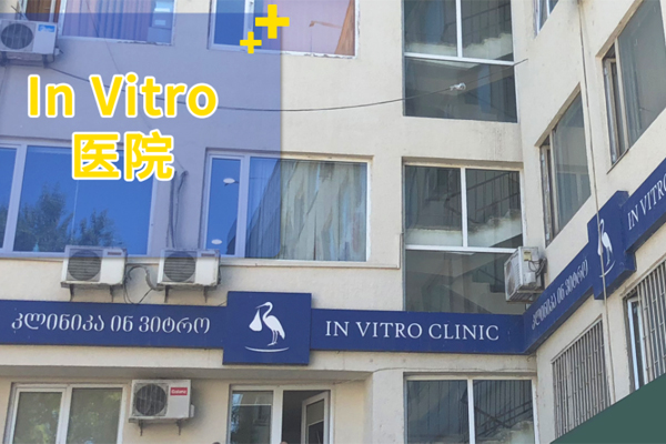 格鲁吉亚In-vitro医院的代孕费用多少钱(完整版)